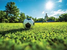 体育爱好者实时观赛场景